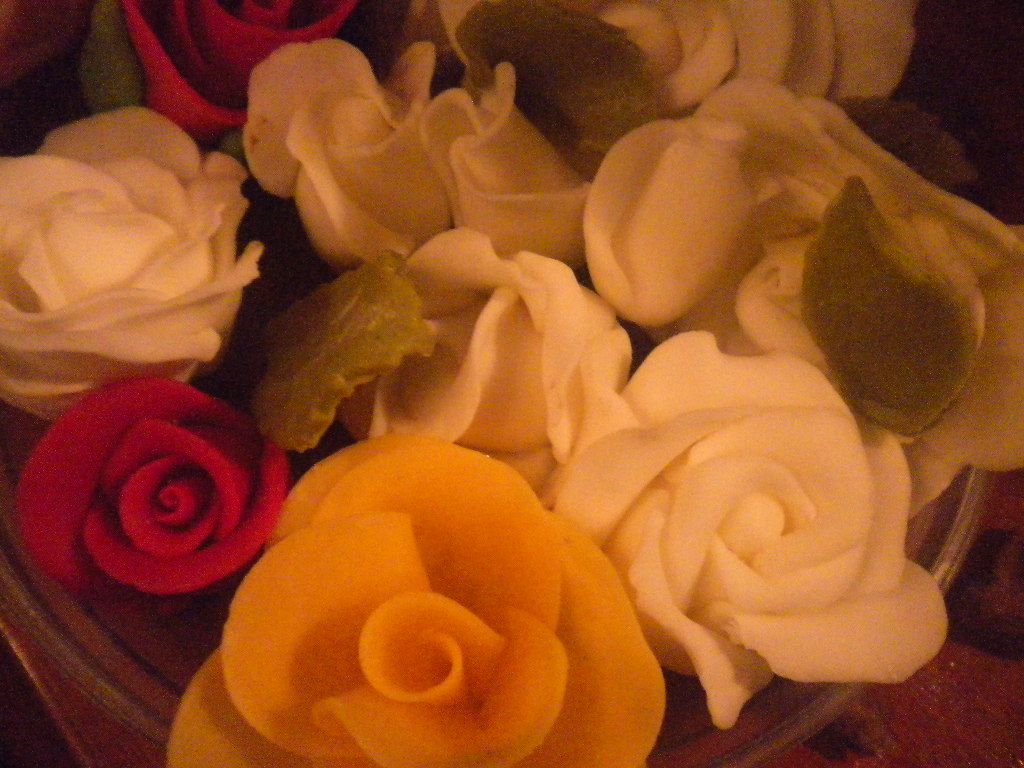 DSCN2061.JPG