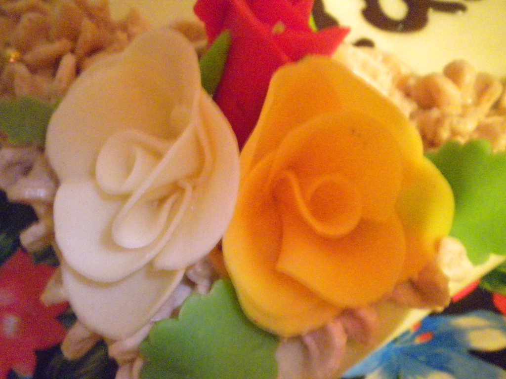 DSCN0989.JPG